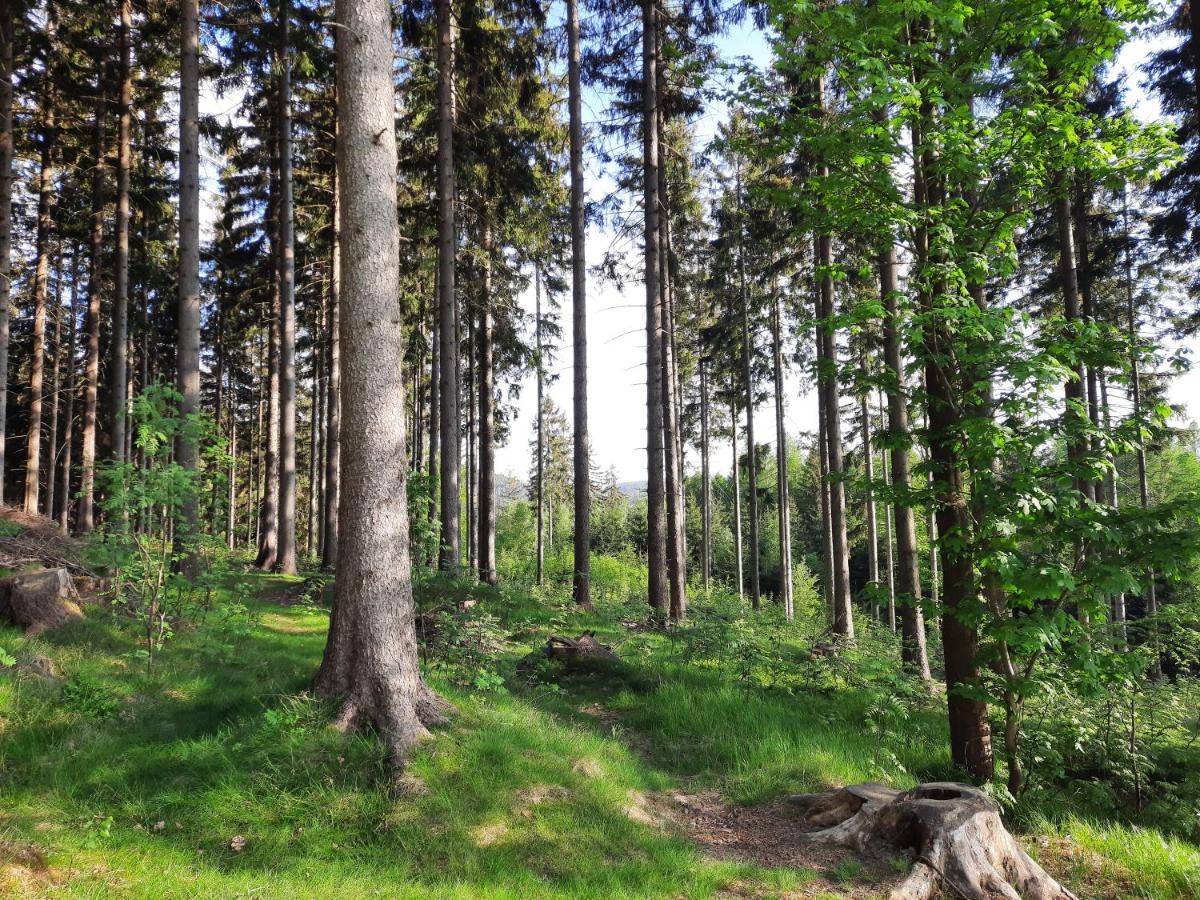 Apartman Mezi Stromy Рокицани Экстерьер фото