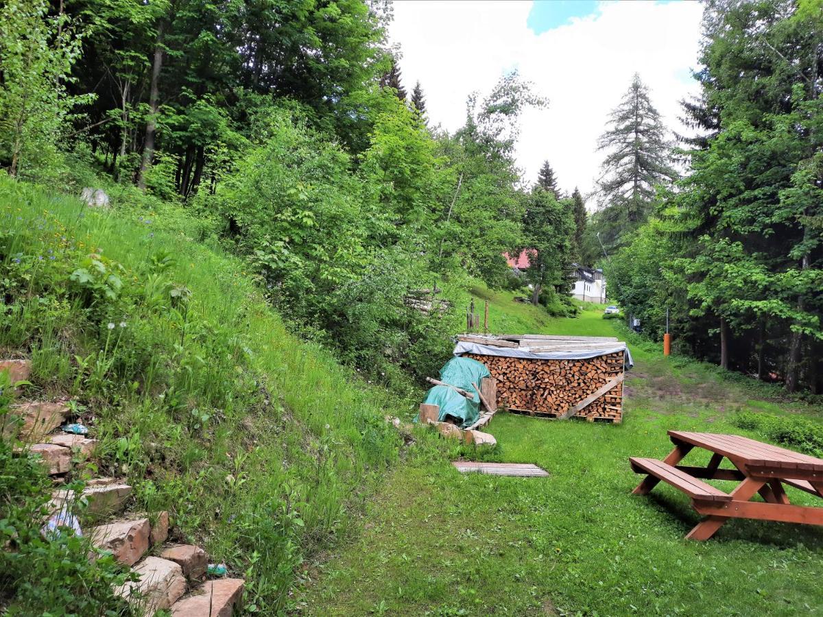 Apartman Mezi Stromy Рокицани Экстерьер фото